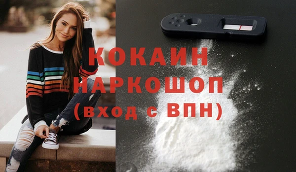 винт Коряжма
