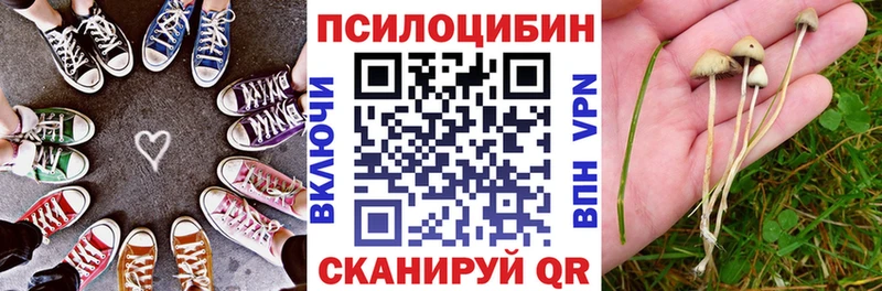 Купить где  Новосокольники  Псилоцибиновые грибы Cubensis 